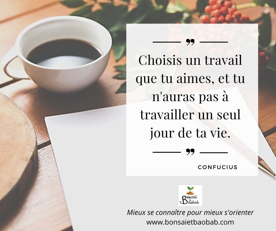 Choisis un travail que tu aimes et tu n'auras pas à travailler un seul jour de ta vie. Confucius. Citation