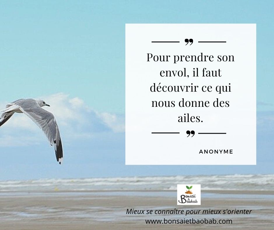 Pour prendre son envol, il faut découvrir ce qui nous donne des ailes. Citation orientation