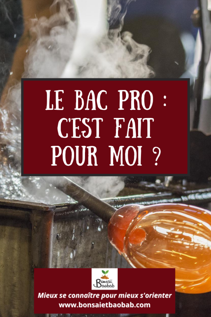 Le bac pro, c'est fait pour moi ?