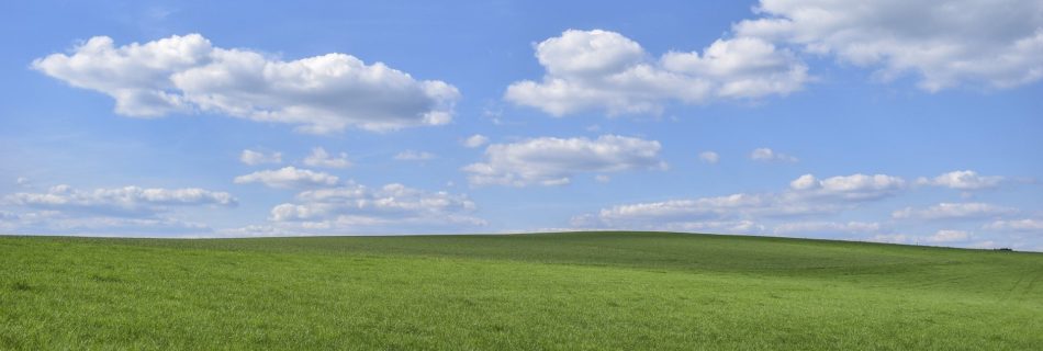 champs des possibles horizon