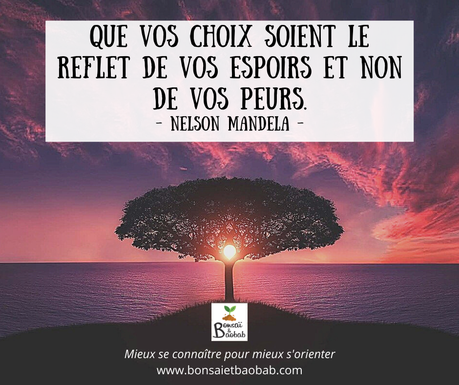inspiration positive choix orientation bonsaietbaobab