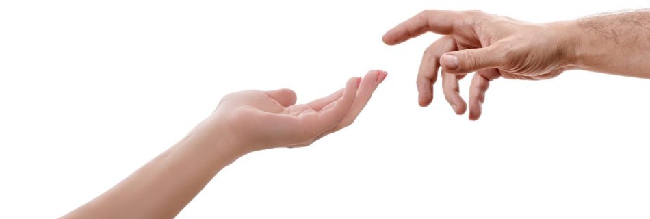 réinventer accueil bonsaietbaobab