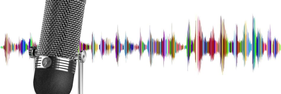 podcast orientation bonsaietbaobab