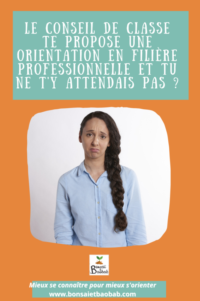 orientation conseil classe voie professionnelle
